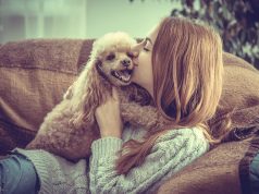 Les races de chien qui adorent le plus les câlins de leur maître races de chien qui adorent le plus les câlins de leur maître
